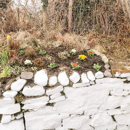 Сasa de vacaciones The *