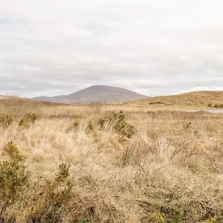 Сasa de vacaciones The *