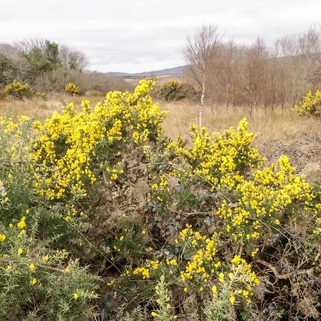 The بيت للعطل